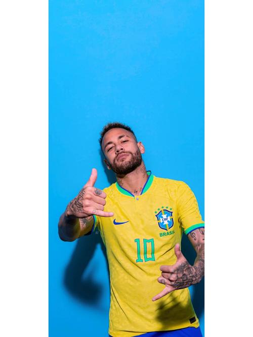 里昂15岁潜力中锋泽科维奇：崇拜哈兰德和DV9的左脚射手（里昂15岁中锋新星泽科维奇：左脚杀手，偶像哈兰德与DV9）