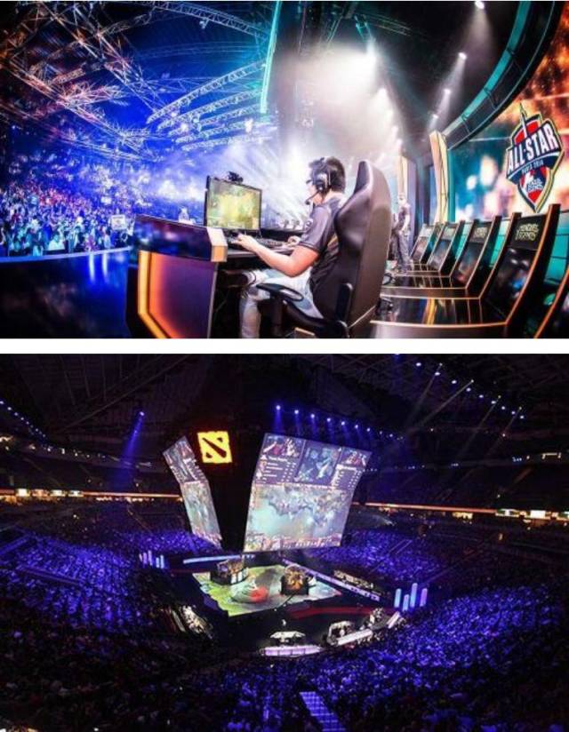 篮球的粉丝 篮球的粉丝